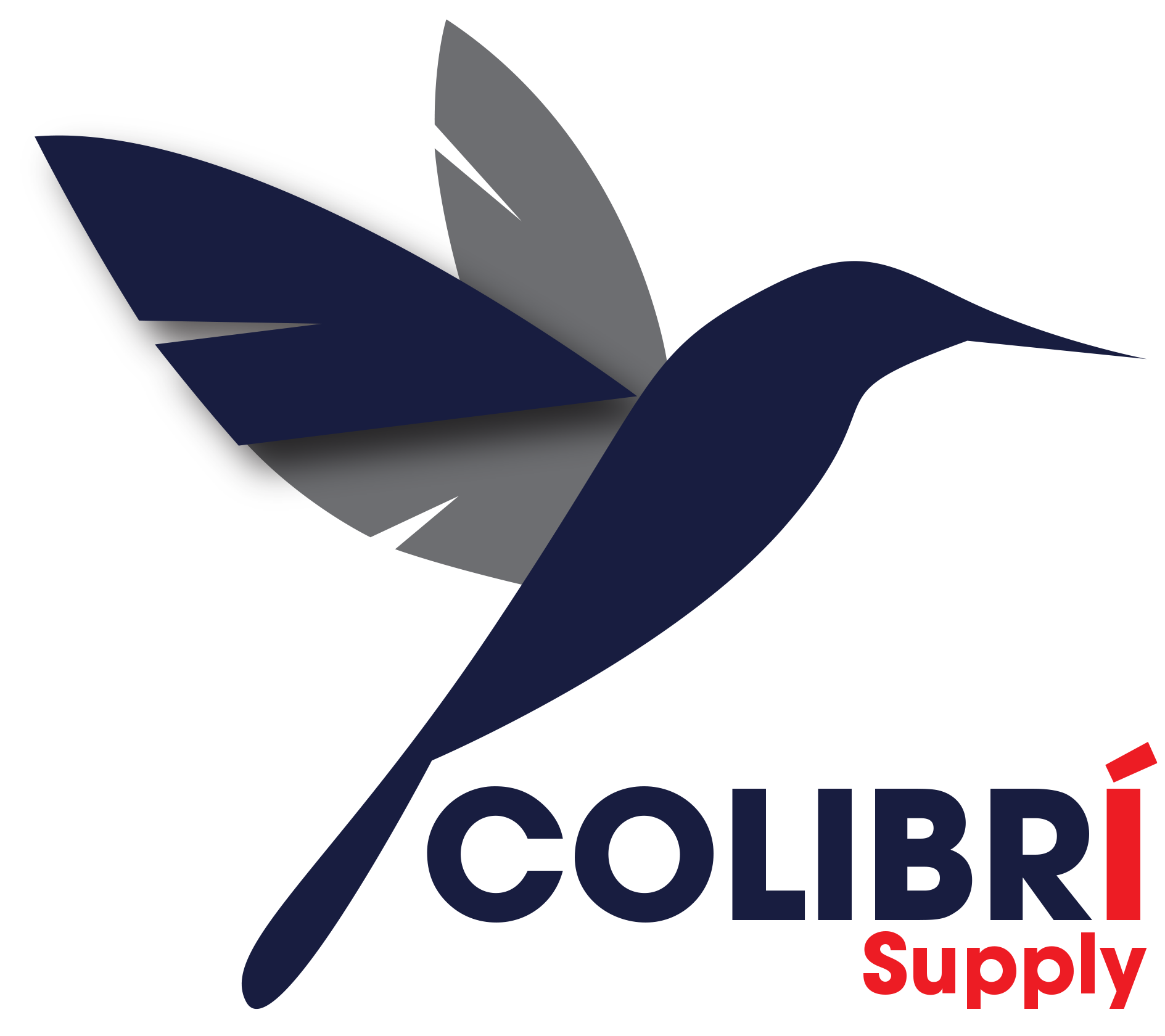 Powering distribution with speed, trust, and precision.